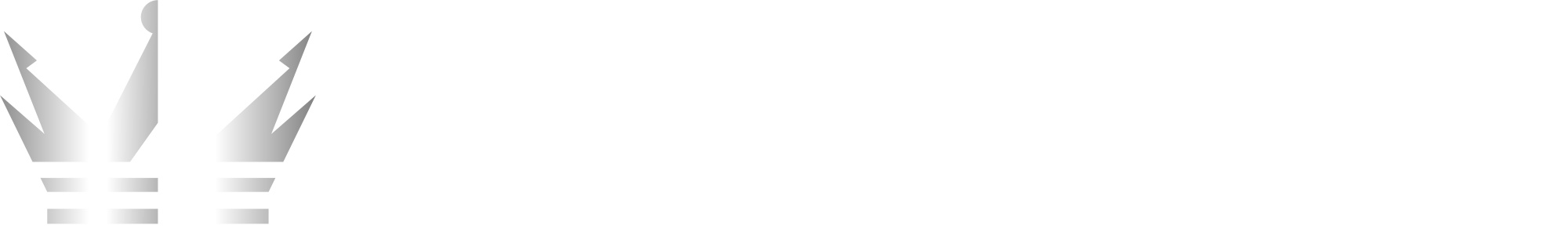 InFocus Projektör Servisi